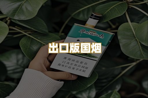 出口版国烟